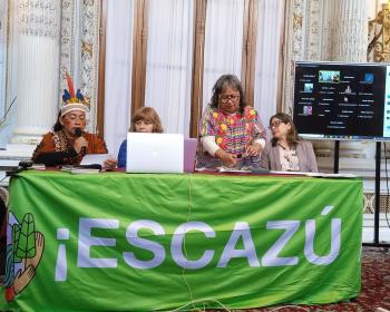 Indigenous and civil society representatives during a side event at COP2.