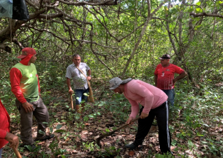 Celebrating Indigenous Beekeeping Practices on World Bee Day