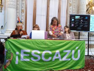 Indigenous and civil society representatives during a side event at COP2.